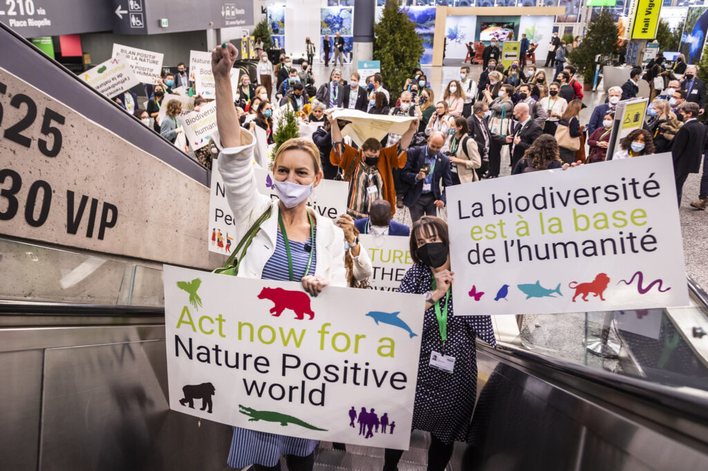 protesters at COP15 holding shields for biodiversity and climate.