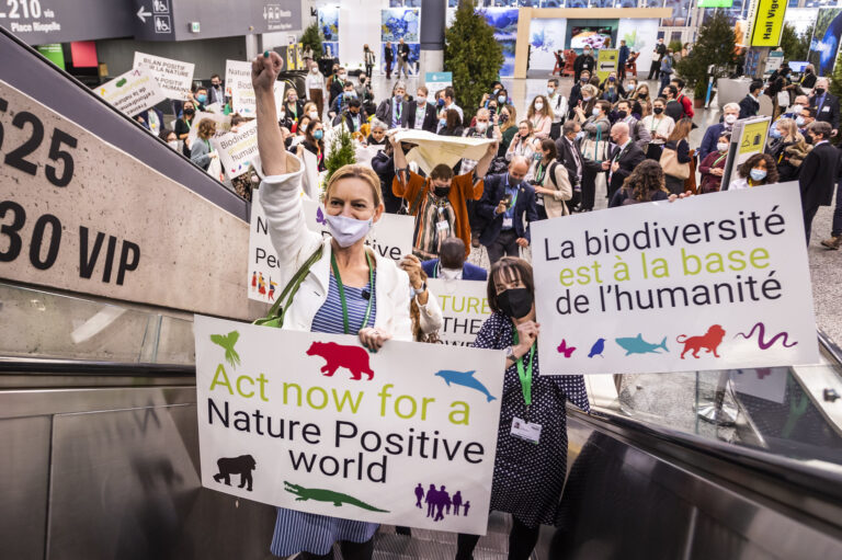protesters at COP15 holding shields for biodiversity and climate.